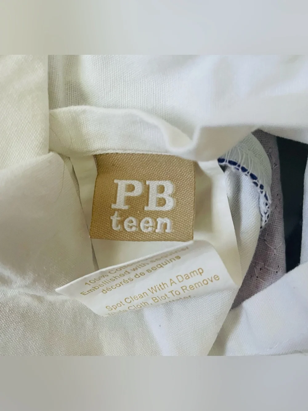 Pottery Barn Teen Pillow Case 16 x 16
